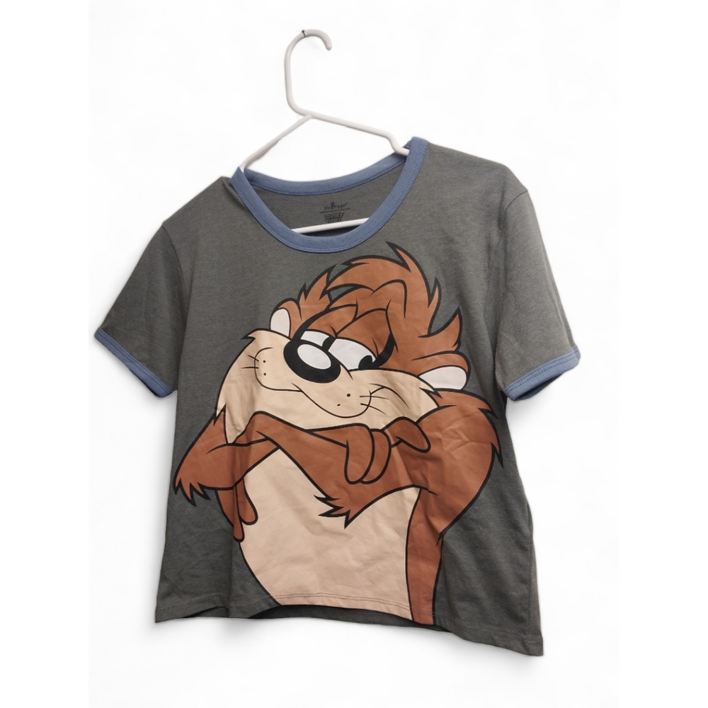 Youth size small Tasmanian devil six flags tshirt. Grey. New with tags.  Vintage